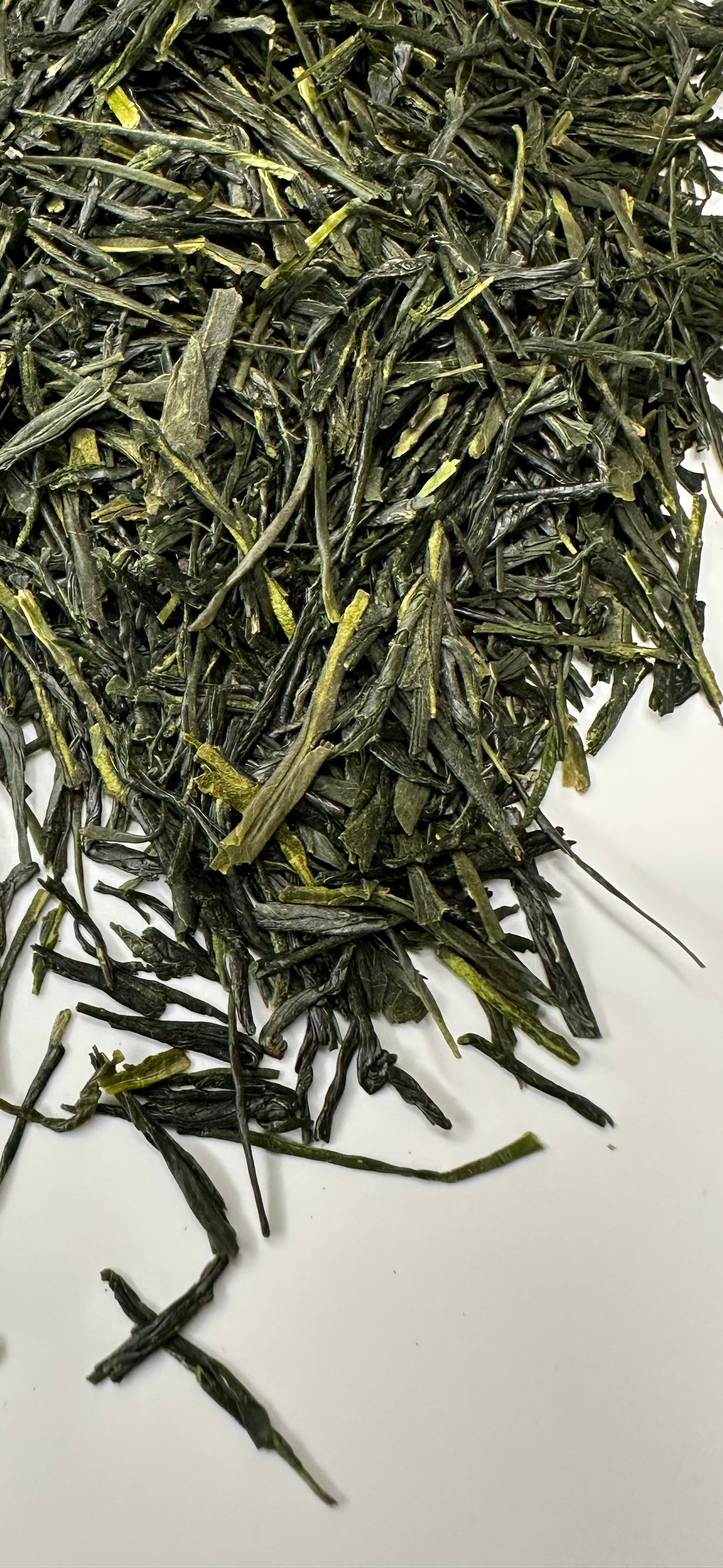 Premium Sencha