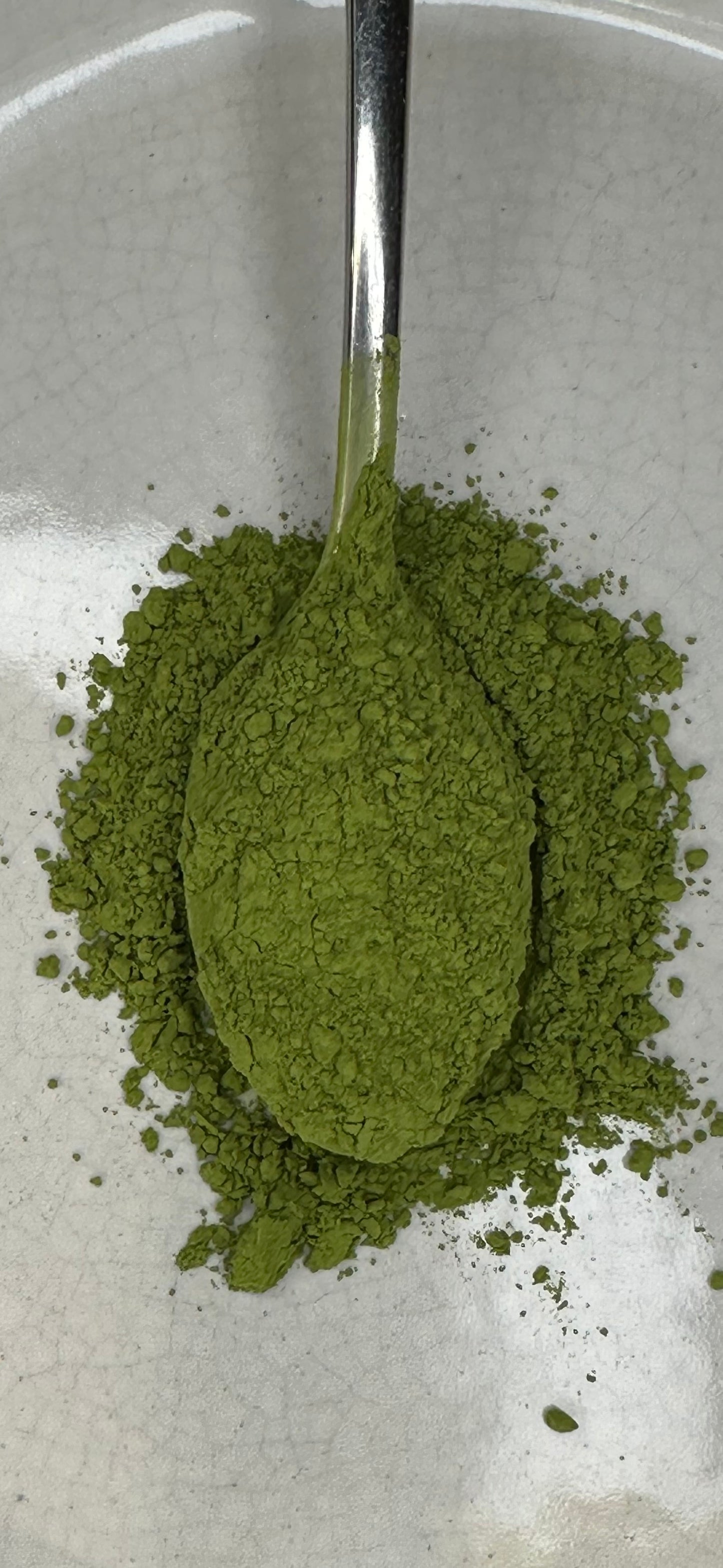 Matcha - Culinary Grade (2oz makes 54 portions)